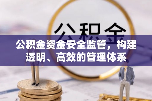 维修公积金资金安全监管，构建透明、高效的管理体系