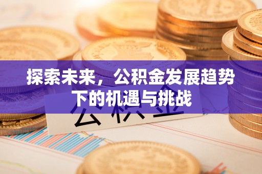 维修探索未来，公积金发展趋势下的机遇与挑战